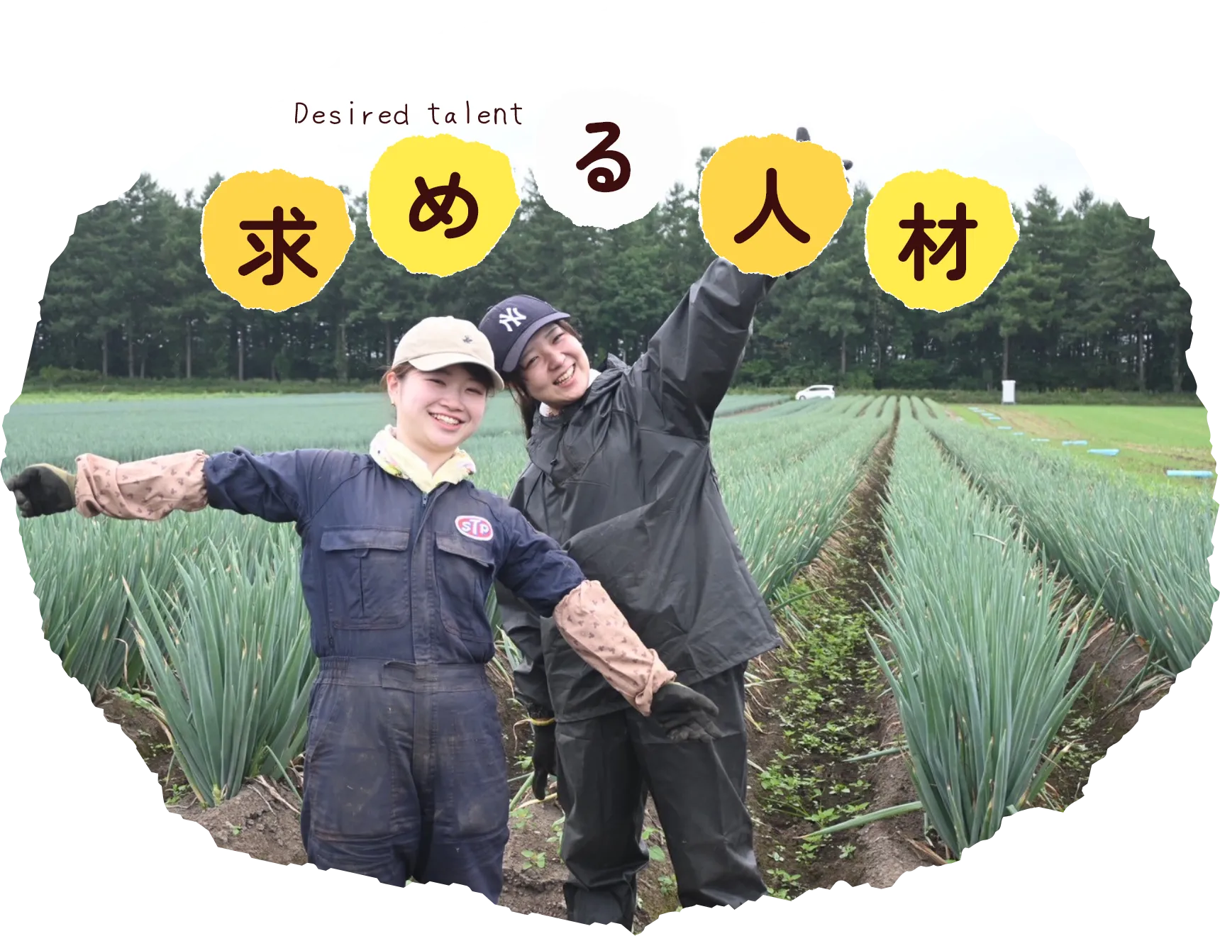 Desired talent 求める人材