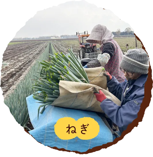 ねぎ